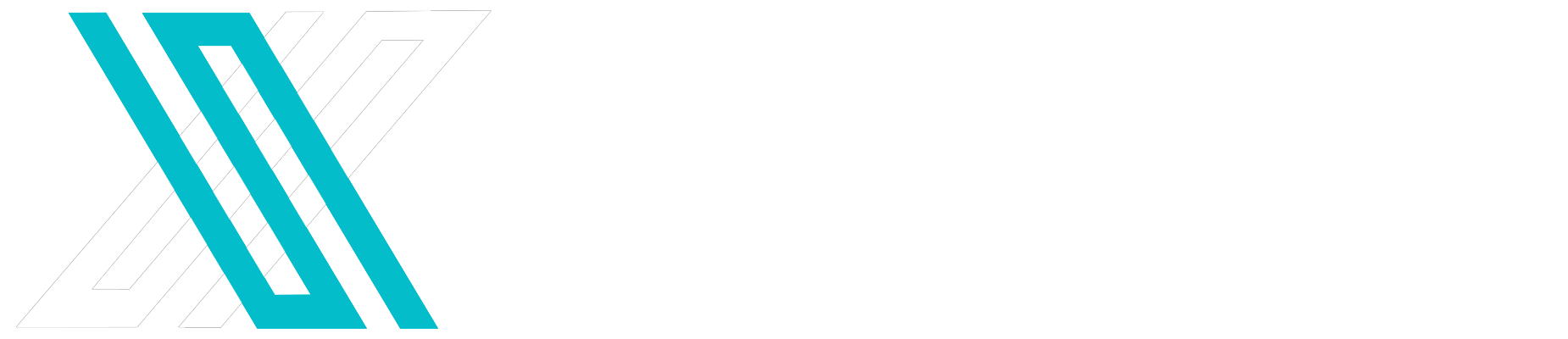 Security Solutions Experts FZ-LLC